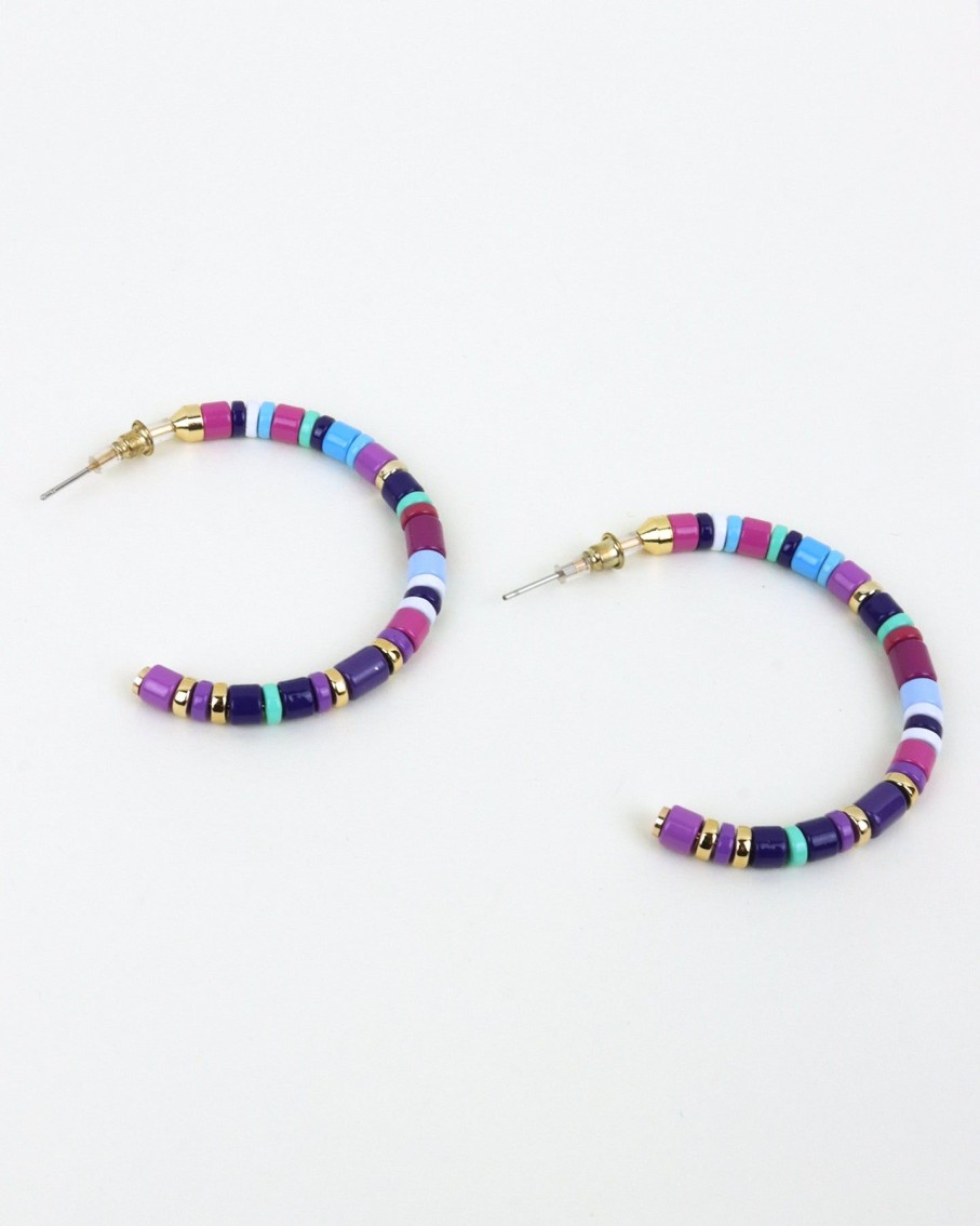 Women 227 Earrings | Purple And Blue Striped Hoops