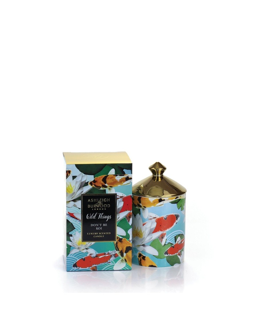 Lifestyle Ashleigh & Burwood | Moroccan Spice Koi Candle